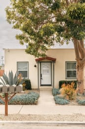 a house with a tree in front of it