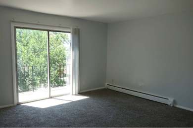 A room with a carpeted floor, a window with a view of trees, and a white wall.