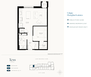 A floor plan for a Tess Alcoves property showing a bedroom, bathroom, and kitchen.