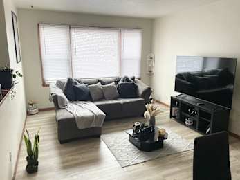 A living room with a grey couch and a black coffee table.