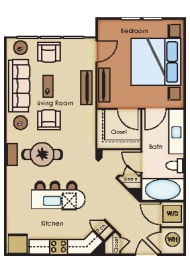 1 bed 1 bath Ash Floor Plan at The Loree, Jacksonville, 32256