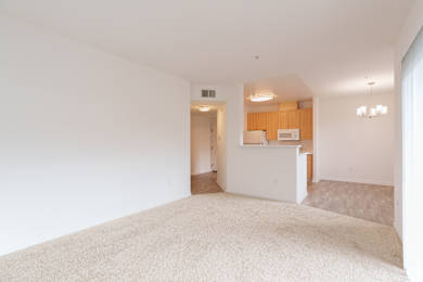 A white room with a carpet and a kitchen area in the background.