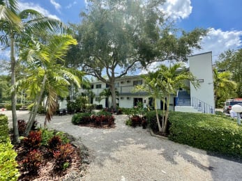 a house with a driveway and palm trees in front of it