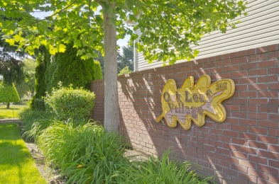Oak Leaf