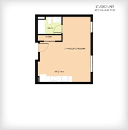 A floor plan of a studio unit with a living/bedroom, kitchen, and closet.