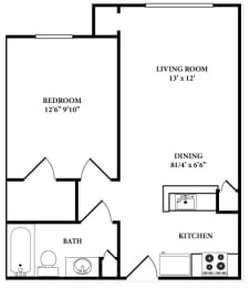 CYPRESS 531.jpg