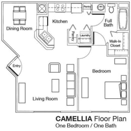1 Bed 1 Bath Floor Plan