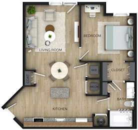 A floor plan of a house with a living room, kitchen, bedroom, bathroom, and closet.