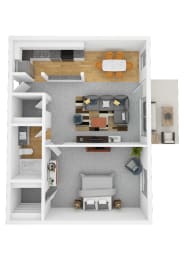  Floor Plan 1 Bed 1 Bath