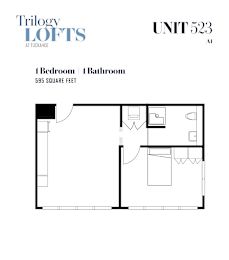 A floor plan for a 523 square foot unit with one bedroom and one bathroom.