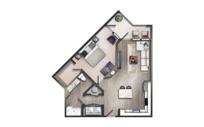 1 bedroom 1 bathroom Floor plan F at Century University City, Charlotte, 28213