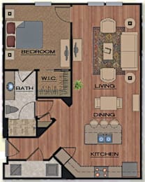 1 bed 1 bath C at Park Place Oviedo Apartments, Oviedo