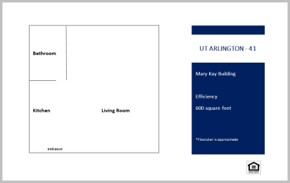 Mary Kay Efficiency UTA