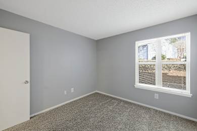 A room with a carpeted floor, a window with blinds, and a door.