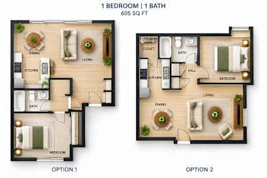 A floor plan shows two options for a 605 square foot 1 bedroom 1 bath apartment.