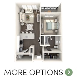 1 bedroom 1 bathroom apartment in Haslett MI | Newton Place Apartments in Haslett