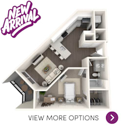 1 bedroom floor plan at Okemos Apartments | Knob Hill Apartments in Okemos, MI
