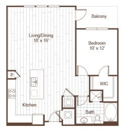 Large 1 Bedroom