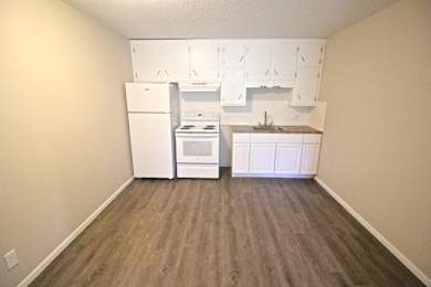 A kitchen area with a white fridge, stove, and cabinets.