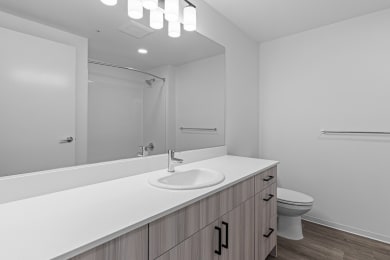 Rose Lane Apartments 1 Bed 1 Bath Floor Plan