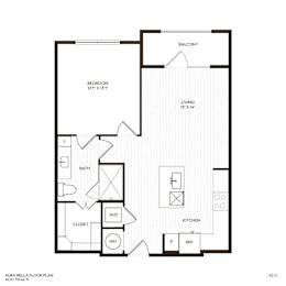 A floor plan of a small apartment with a living room, bedroom, bathroom, kitchen, and closet.