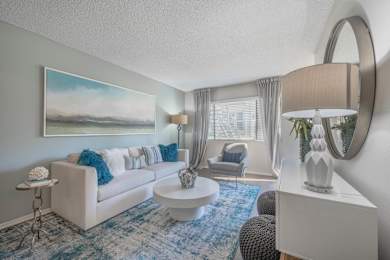 a living room with a white couch and a blue rug