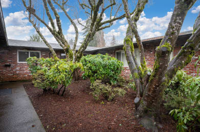 Floor Plan  a yard with trees and bushes in front of a brick house
