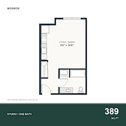 A floor plan for a 389 square foot studio apartment with one bath.