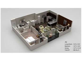 1 bed 1 bath Padgett Floor Plan at Village at Terra Bella Apartments, Land O' Lakes, 34639