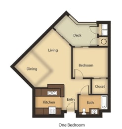  Floor Plan 1 Bed