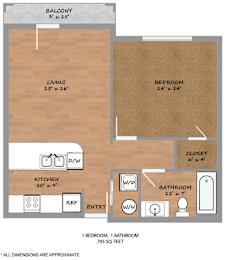 1 Bed 1 Bath