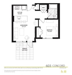 1 bedroom 1 bathroom floor plan I at 603 Concord Apartments, Cambridge, MA, 02138