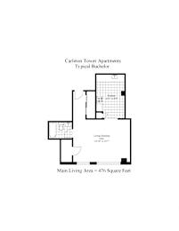 Carleton Tower Bachelor A Image
