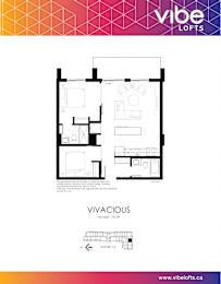 Vivacious