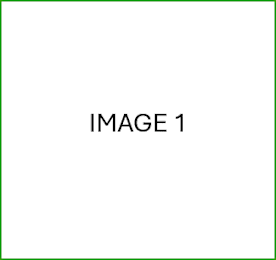 A white square with a green border and the words "IMAGE 1" in the center.