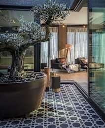 A bonsai tree in a large pot sits on a tiled floor in a modern living room.