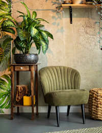 A green chair sits in front of a plant and a wooden stand.
