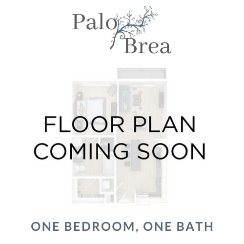 Floor Plan  A floor plan for a one bedroom, one bathroom apartment is coming soon.