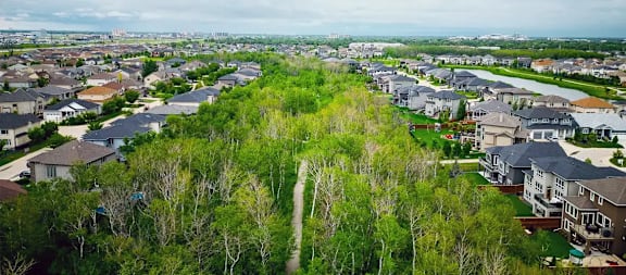 A suburban neighborhood with houses and trees.