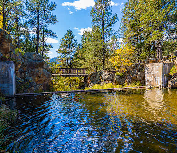 A serene pond surrounded by trees and rocks with a wooden bridge in the background.
