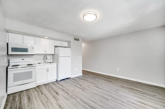 Floor Plan  Kitchen/Living Room