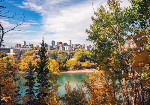 A city skyline is visible through a natural landscape of trees.
