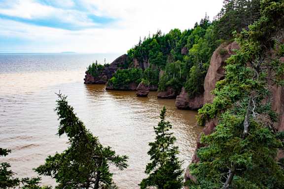 A rocky coastline with trees growing on it.