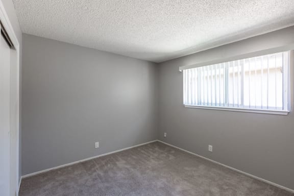 Floor Plan  an empty living room with a window and carpet