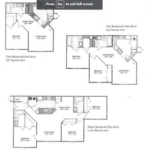 Floor Plan  1/1