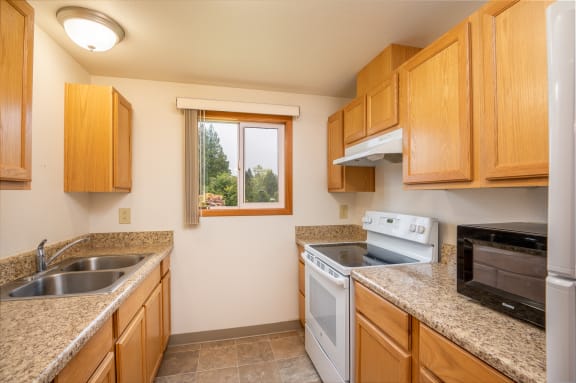 Floor Plan  One Bedroom
