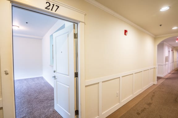 Floor Plan  Studio