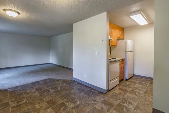 Floor Plan  One Bed One Bath