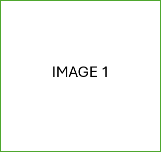 Floor Plan  A white square with a green border and the words "IMAGE 1" in the center.
