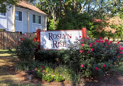 Roslyn Rise property image